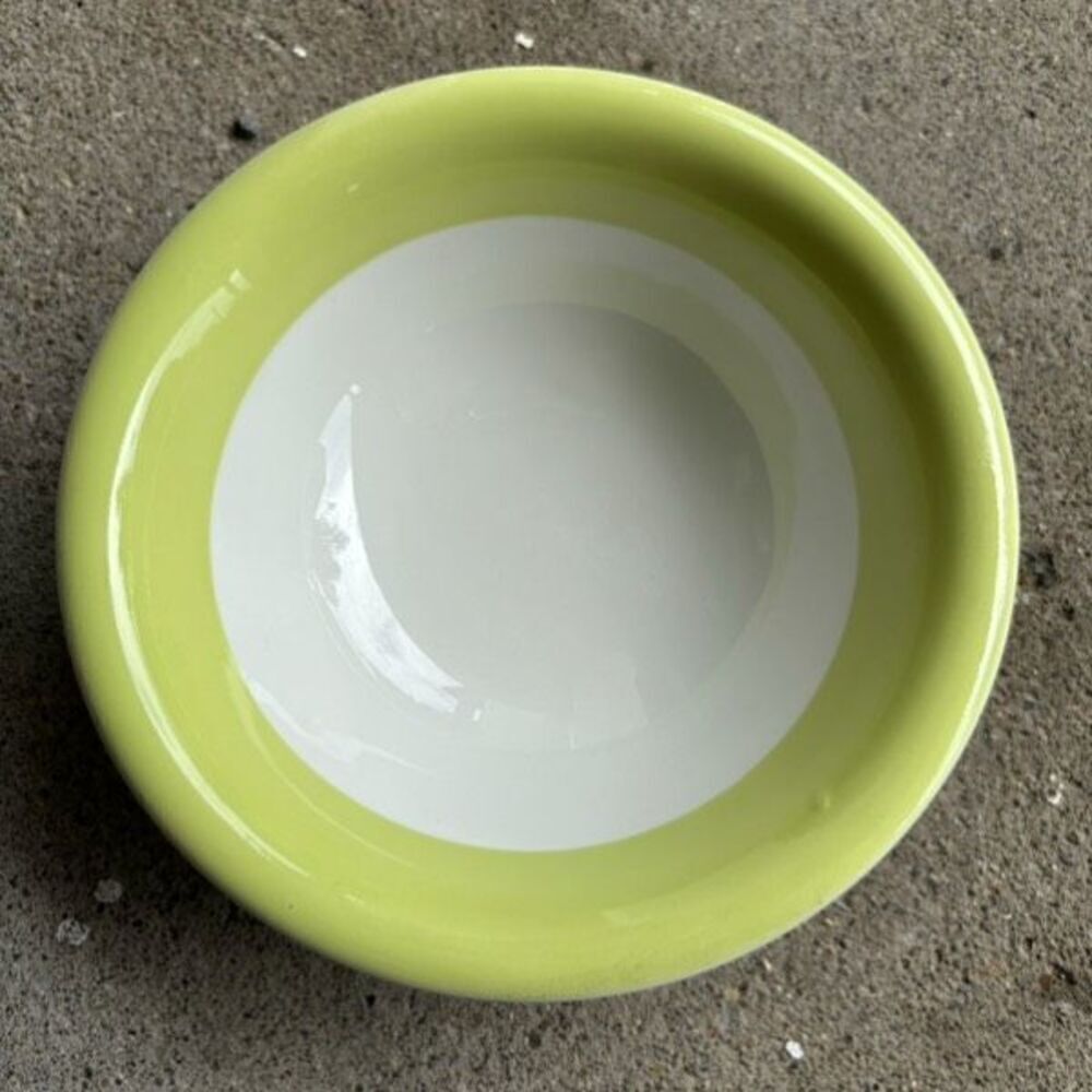 Jackson Custom China Falls Creek Pa White & Green Heavy 8” Serving Bowl